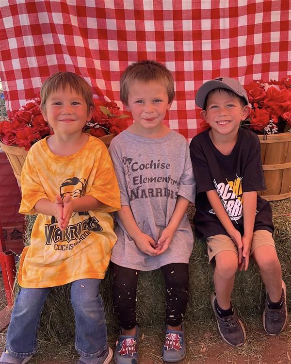 county fair